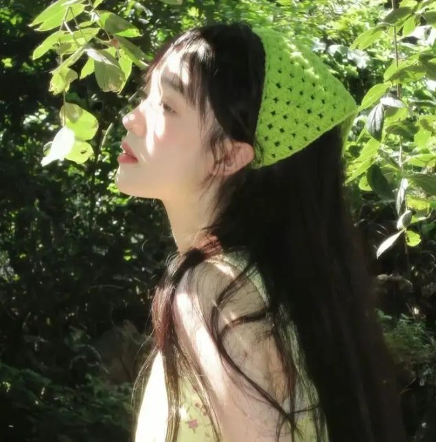 侠女传奇国语